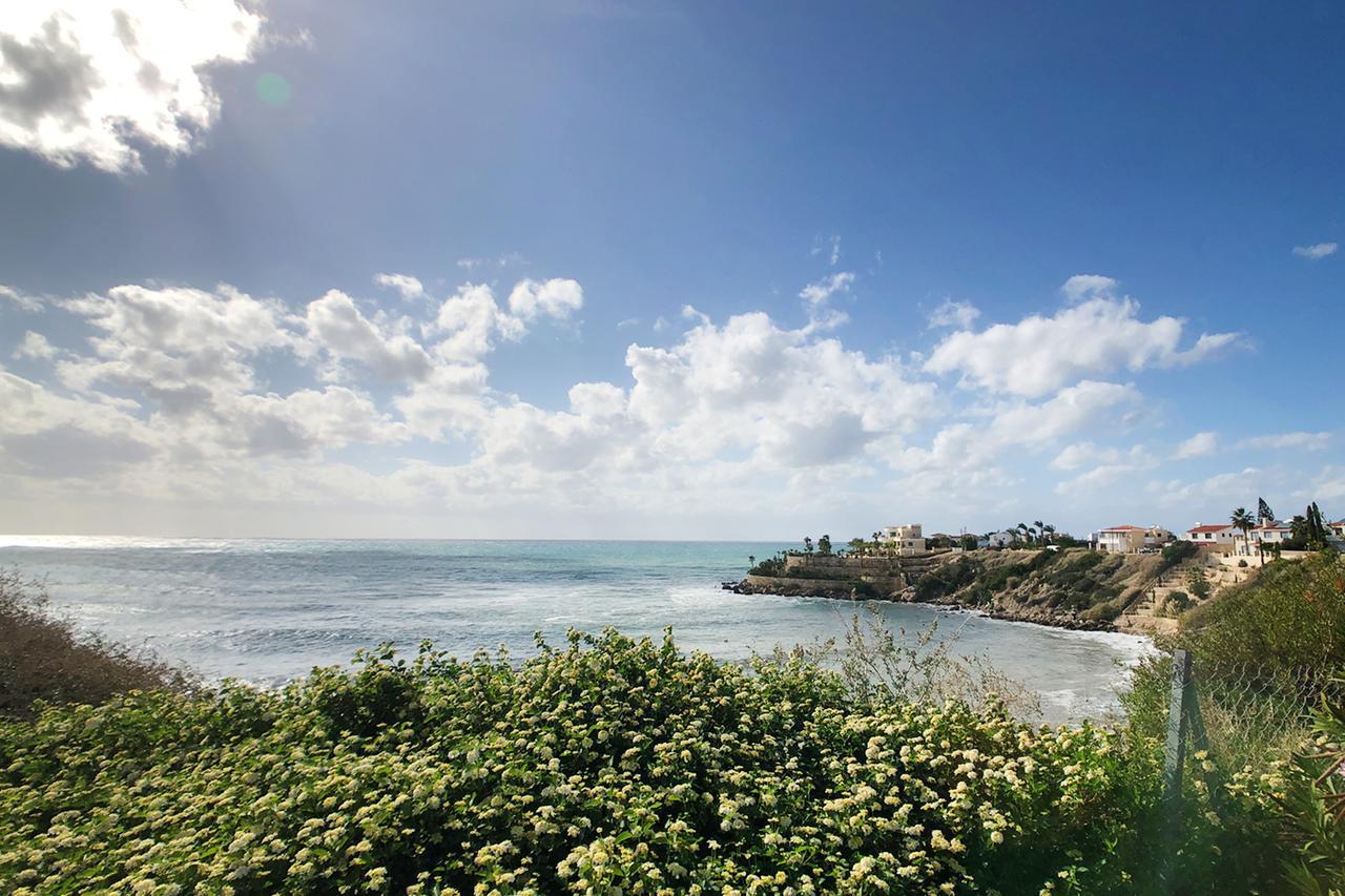 Villa Porto 珊瑚湾 外观 照片
